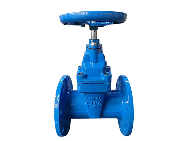 德标球铁弹性座封闸阀